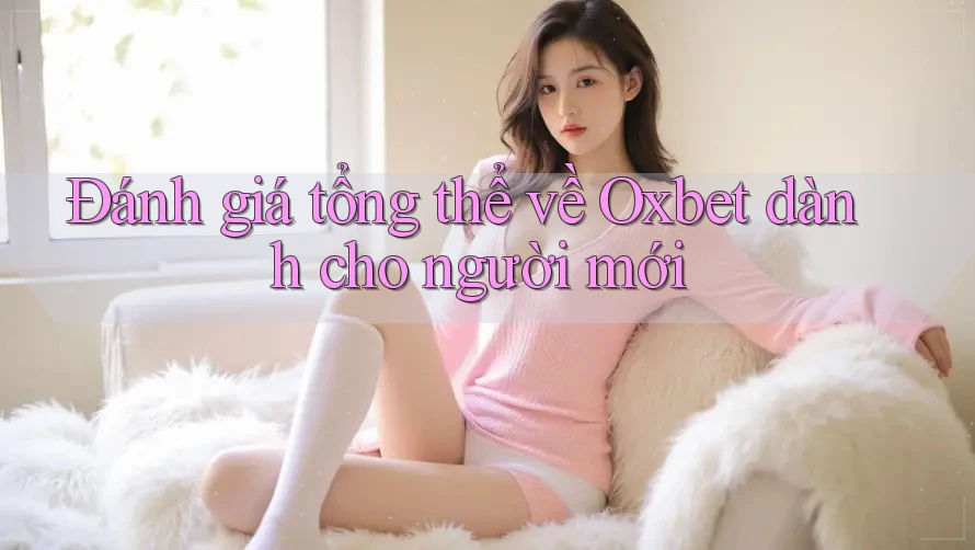 Đánh giá tổng thể về Oxbet dành cho người mới
