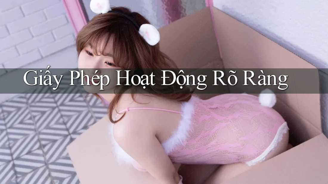 Giấy Phép Hoạt Động Rõ Ràng