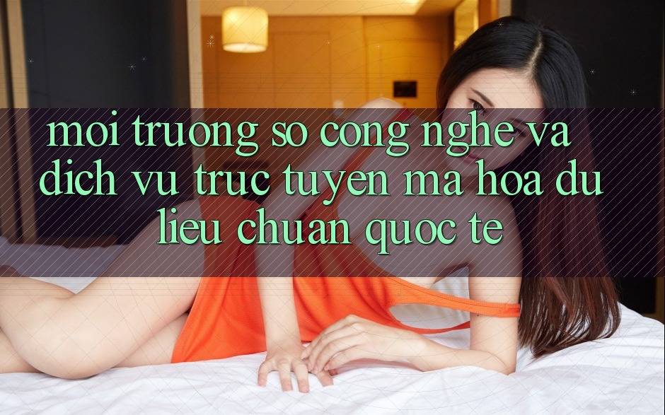 Môi trường số Công Nghệ Và Dịch vụ trực tuyến Mã hóa dữ liệu Chuẩn Quốc Tế